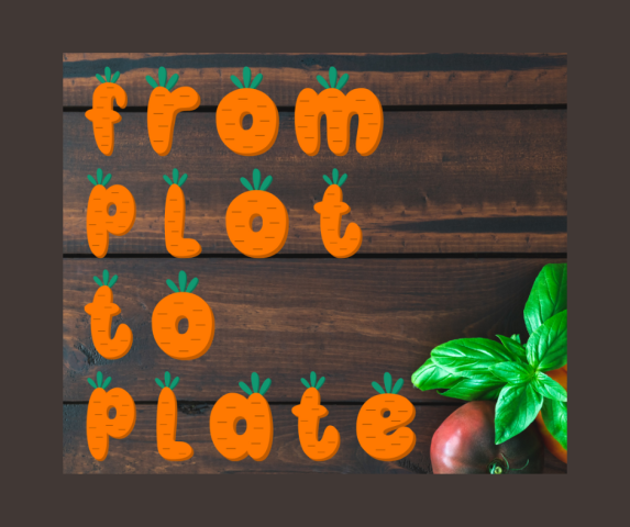 From Plot to Plate at Alsager Supported Living